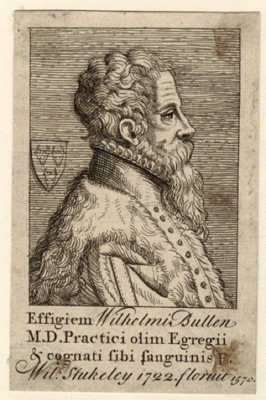 William Bullein
(c. 1515-1576)