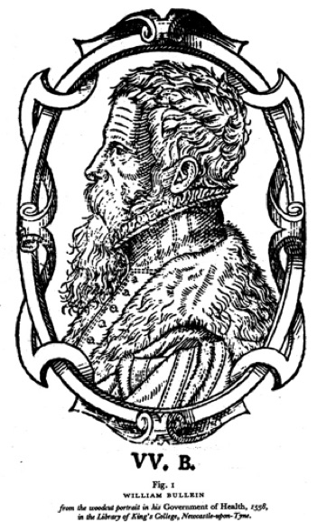 William Bullein
(c. 1515-1576)
